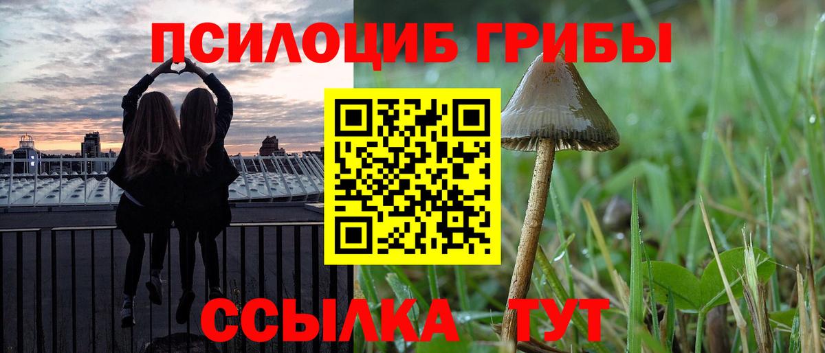 Псилоцибиновые грибы GOLDEN TEACHER  Вход с VPN  Отрадный 