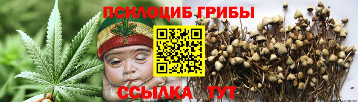 Псилоцибиновые грибы мухоморы Отрадный